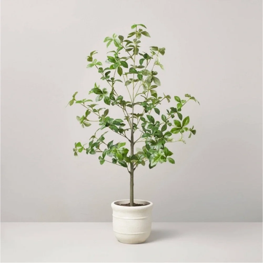 Hearth & Hand Magnolia 33